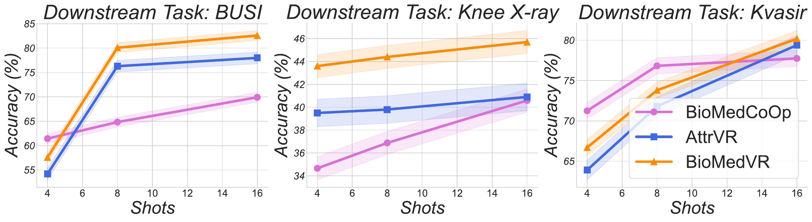 Few-shot scaling on BUSI / Knee X-ray / Kvasir